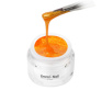 70227 Emmi-Nail Color Gel Zlatá rybka 5ml -F343-